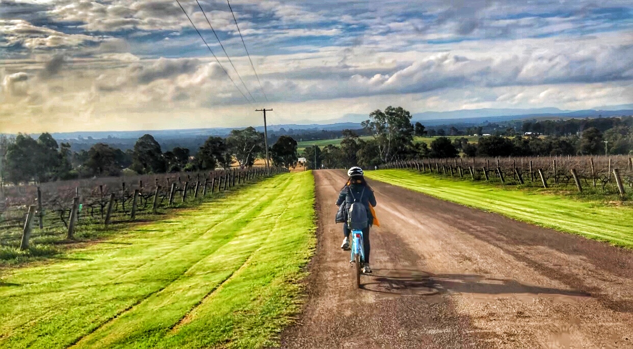 hunter valley cycling wine tours