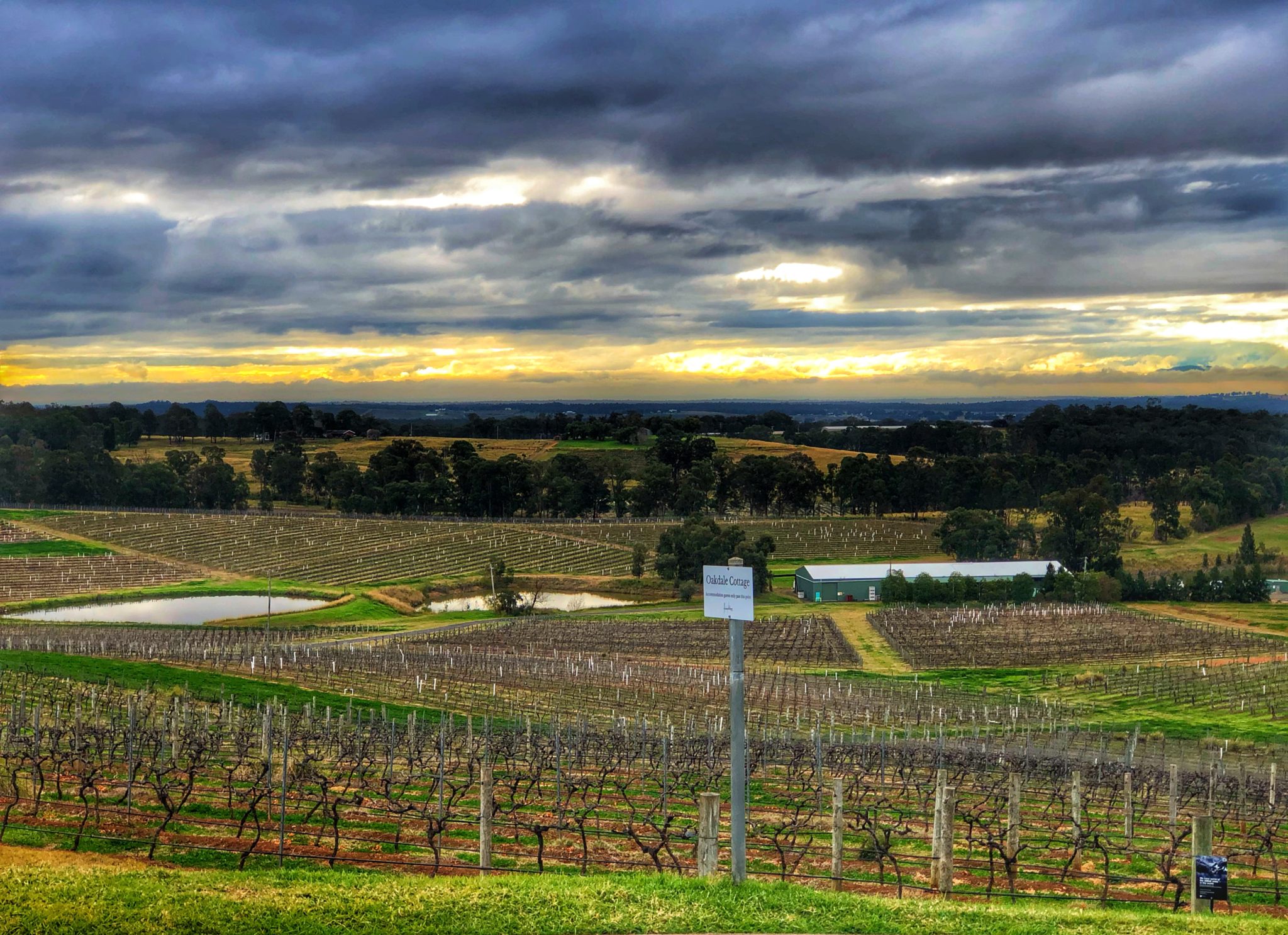 hunter valley cycling wine tours