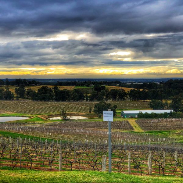 Cycling and Wine Tasting in the Hunter Valley Region!